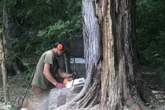 Removing a huge tree