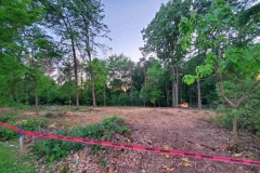 Lot Clearing – After - 2