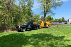 Lot Clearing - Before