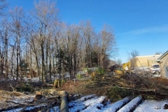 Lot Clearing Project-2 - After