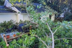 Storm Damage - Before