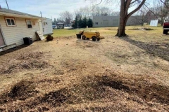 Stump Grinding - After