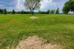 Stump Grinding - Project-2 - After