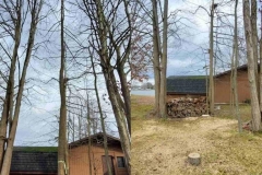 Tree Removal
