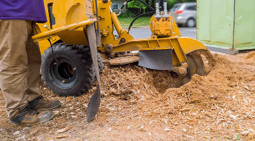 stump grinding