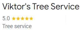 victor's tree service write a review